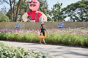 BIB: 
                            <button type="button" onclick="openModal(27799142)" class="btn btn-primary btn-sm float-right btn-popup" data-toggle="modal" data-target=".modal-high-quality">
                        <i class="fas fa-shopping-cart"></i> Add to Cart
                    </button>
                                            <button type="button" onclick="isThisMe(27799142, true)" class="btn btn-success btn-sm float-right btn-popup btn-isme hidden" data-toggle="tooltip" data-placement="bottom" title="นี่คือรูปของคุณใช่ไหม คลิกที่นี่เพื่อเอาเข้าอัลบั้ม">
                        <i class="fas fa-plus"></i> Add to album
                    </button>
                    <button type="button" onclick="isThisMe(27799142, false)" class="btn btn-warning btn-sm float-right btn-popup btn-isnotme hidden">
                        <i class="fas fa-ban"></i> Remove from album
                    </button>